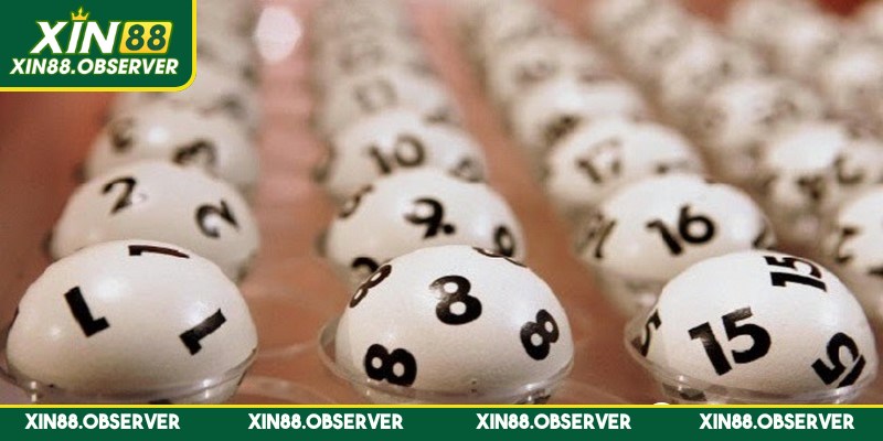 Phương pháp bắt bạch thủ lô hiệu quả