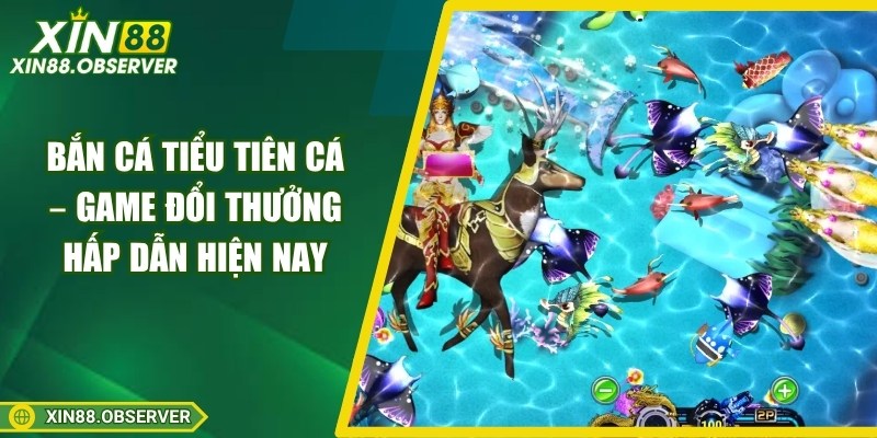 ban-ca-tieu-tien-ca